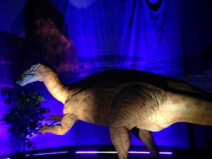 dinos on display