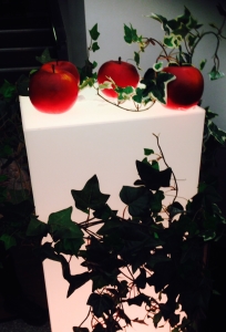 Snow White Poisioned apple