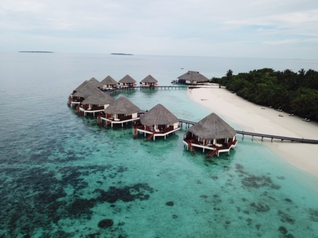 DCIM100MEDIADJI_0005.JPG DCIM100MEDIADJI_0005.JPG